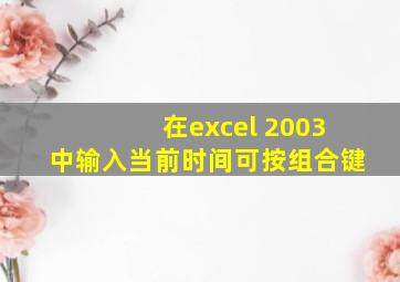 在excel 2003中输入当前时间可按组合键